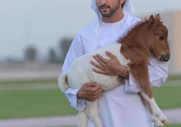 El estilo de vida de Fazza