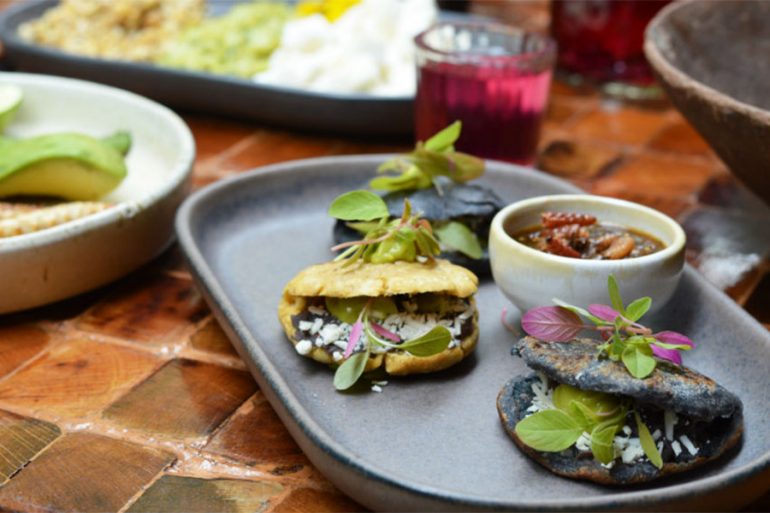 Festival de la garnacha