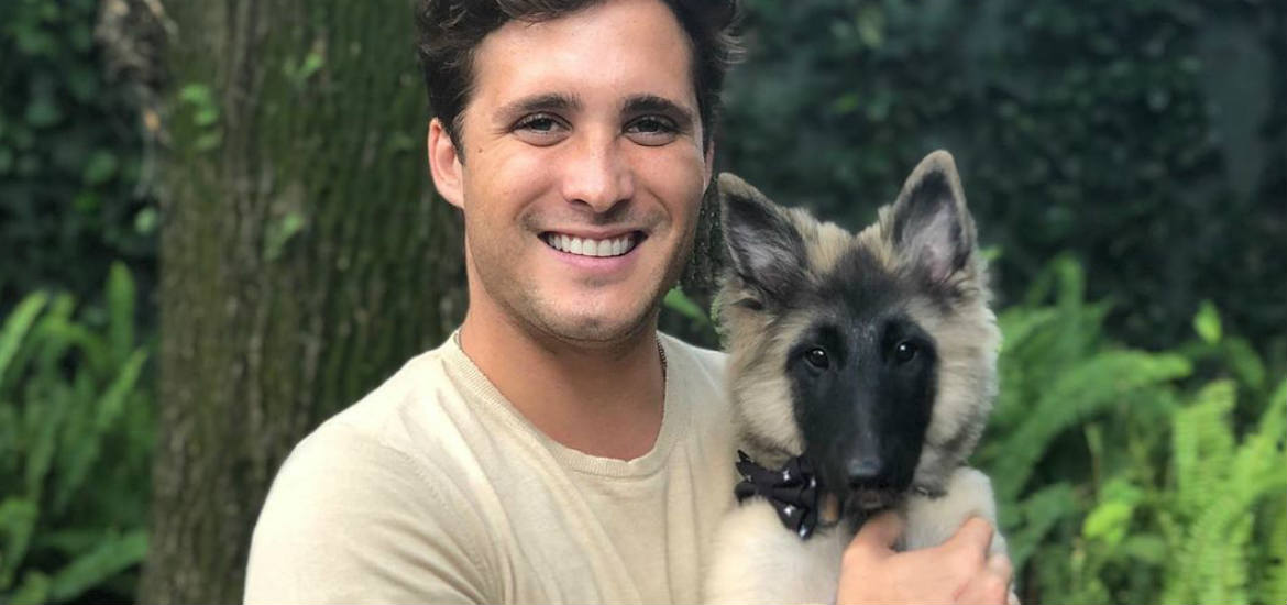 Diego Boneta adopta a una perrita - Revista Caras