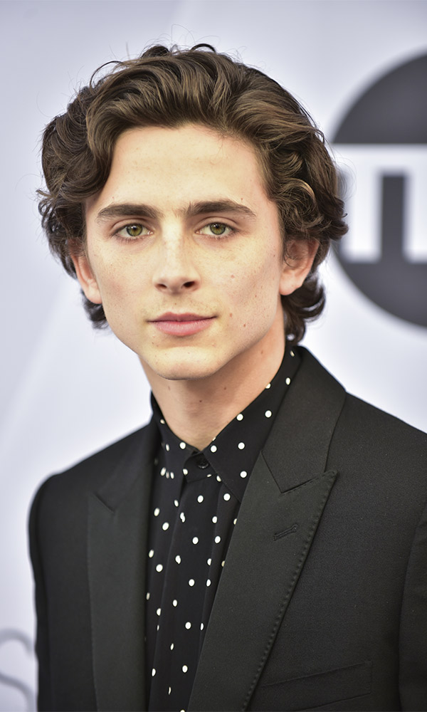 timothee chalamet sidetalk