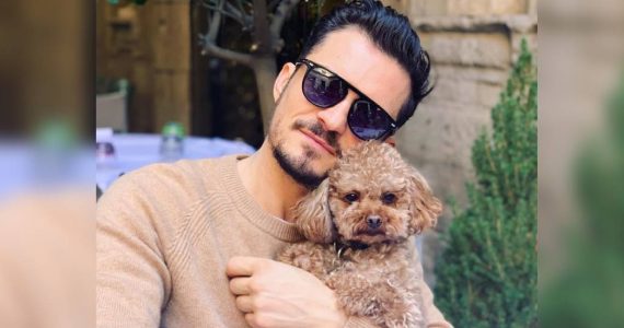 Orlando Bloom está destrozado por la perdida de su perrito