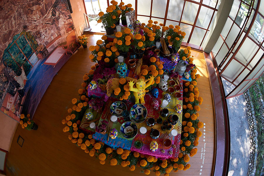 Museo Casa Estudio Diego Rivera y Frida Kahlo