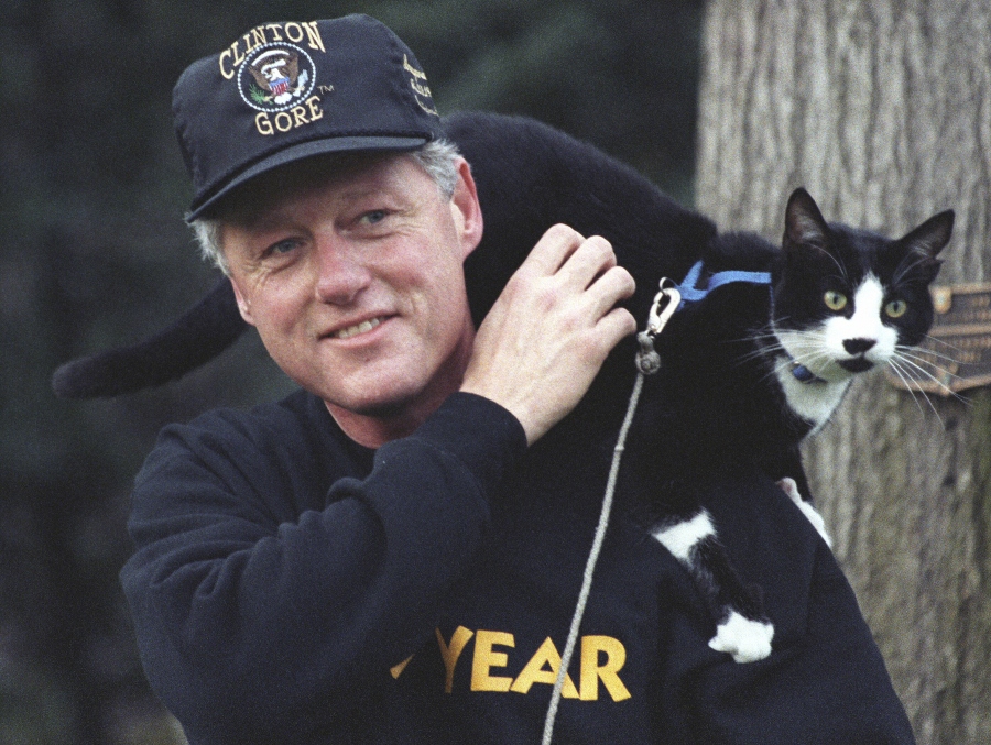 socks fue el gato que bill clinton llevó a la casa blanca