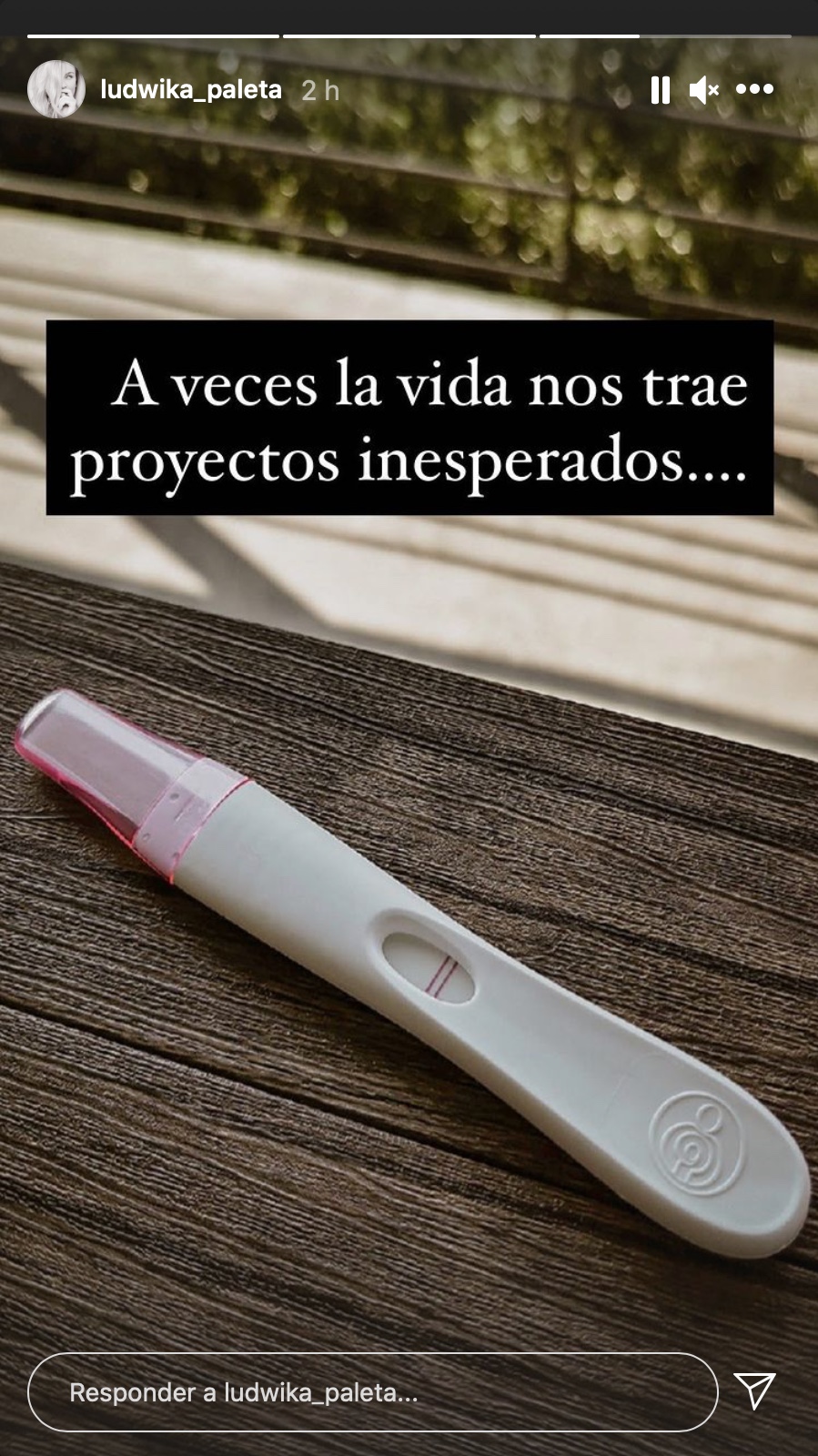 ludwika paleta prueba de embarazo