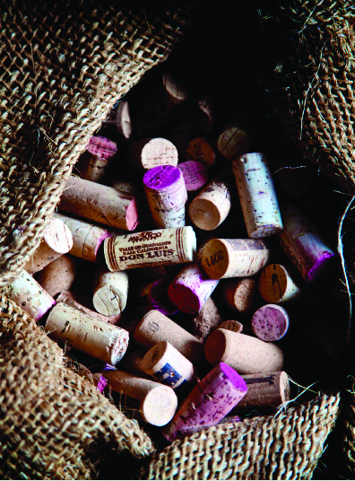 vinos