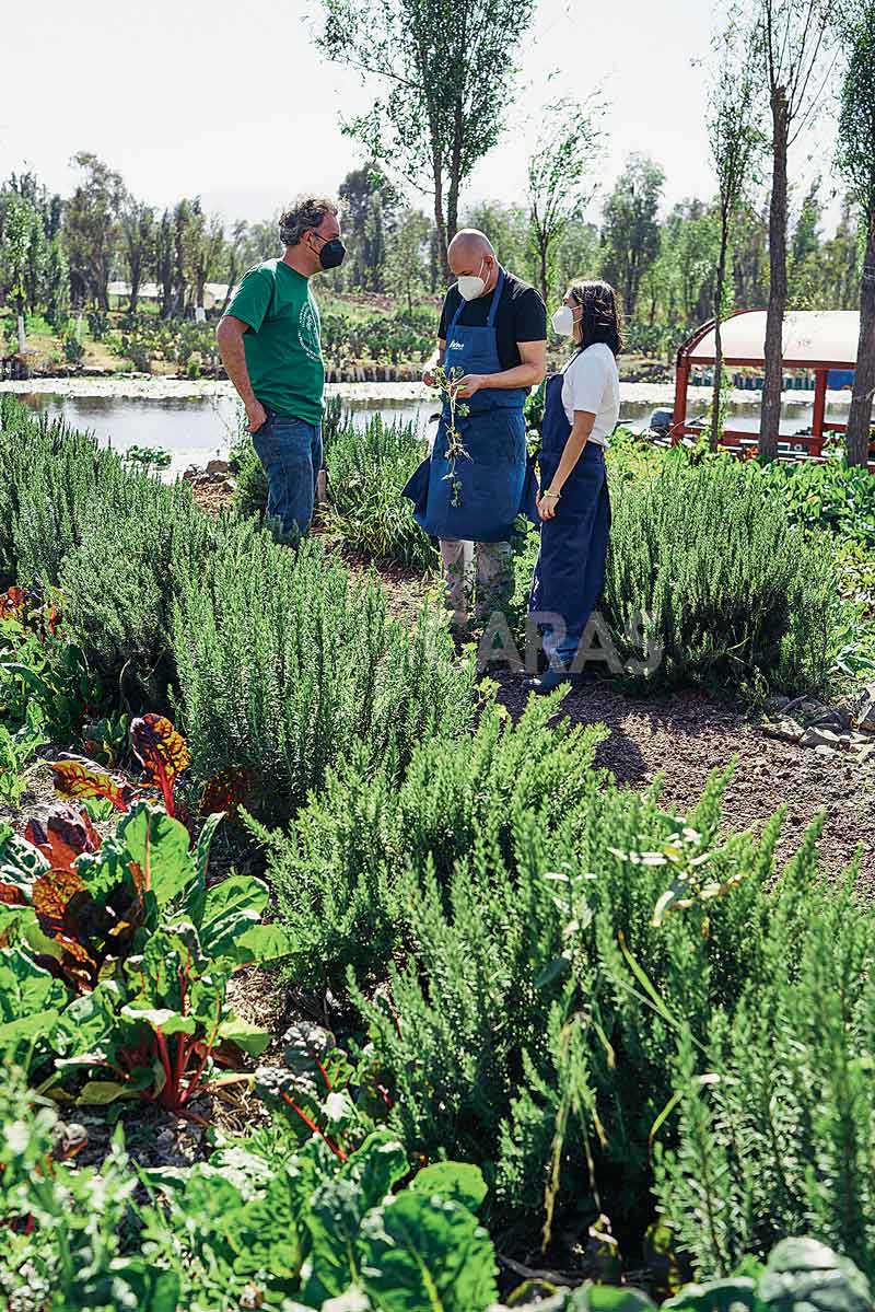 chinampas xochimilco