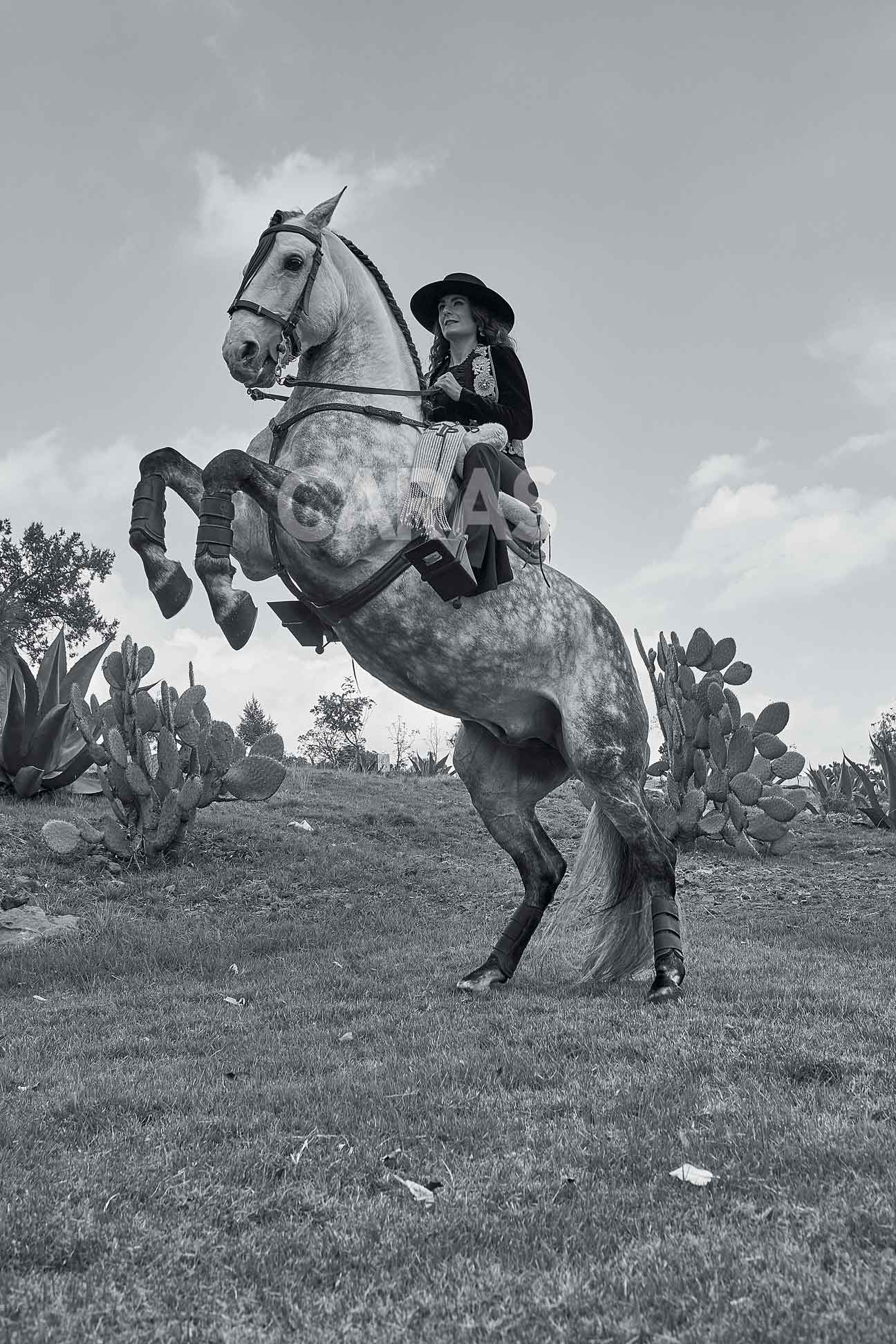 Stefania Uribe incursiona en el mundo del rejoneo y la doma clásica de caballos 