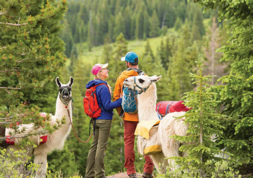 El hike acompañado de llamas, se convierte en una experiencia única.