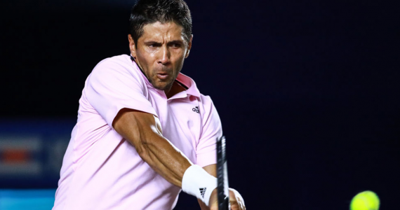 fernando verdasco