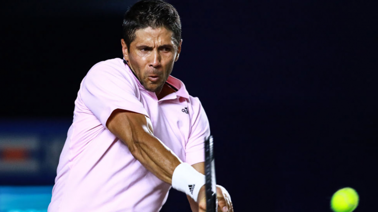 fernando verdasco