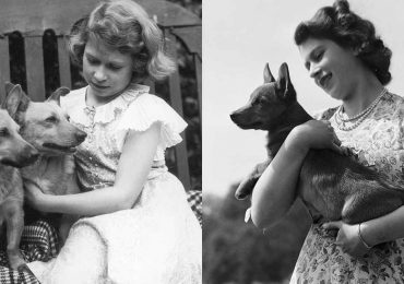 Así nació el amor de Isabel II por los perritos, ¿qué pasará con sus corgis?