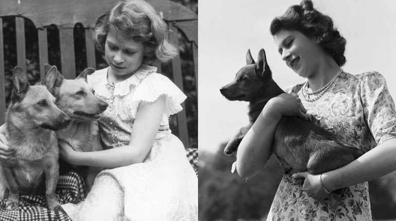 Así nació el amor de Isabel II por los perritos, ¿qué pasará con sus corgis?