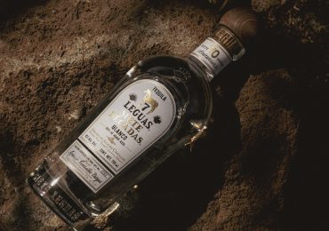 como-se-crea-un-gran-tequila-agave-para-que-llegue-a-tu-mes