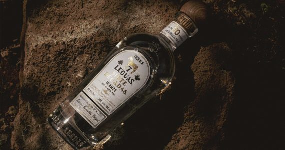 como-se-crea-un-gran-tequila-agave-para-que-llegue-a-tu-mes