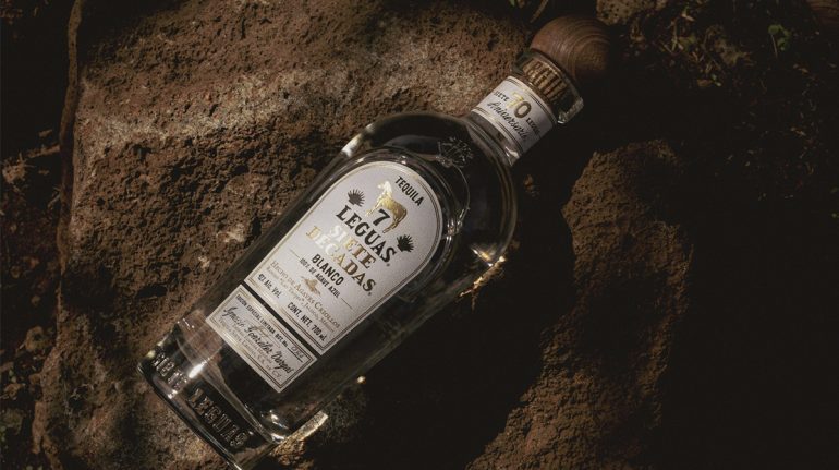 como-se-crea-un-gran-tequila-agave-para-que-llegue-a-tu-mes